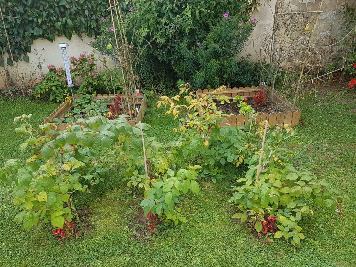 Montigny-sur-LoingLa Montignonneアパートメント エクステリア 写真